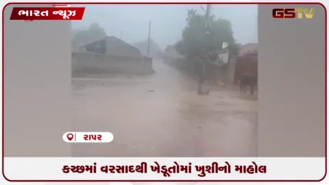 VIDEO: કચ્છના રાપર તાલુકામાં સારા વરસાદથી ખેડૂતો રાજી