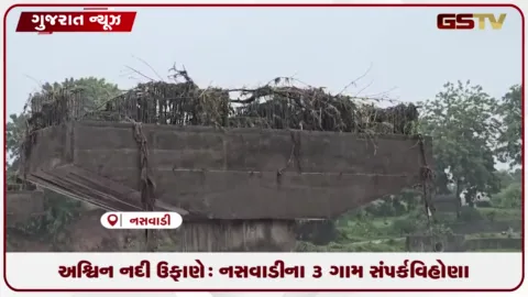 VIDEO: અશ્વિન નદી ઉફાણે: નસવાડીના ૩ ગામ સંપર્કવિહોણા