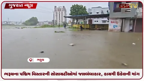 VIDEO: ભરૂચના પશ્ચિમ વિસ્તારની સોસાયટીઓમાં જળબંબાકાર, કાયમી ઉકેલની માંગ