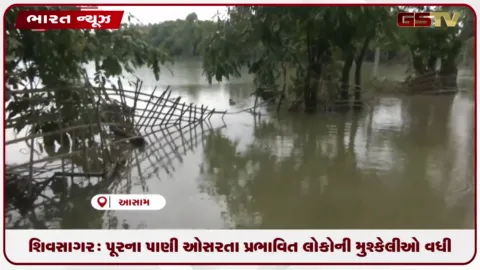VIDEO: શિવસાગર: પૂરના પાણી ઓસરતા પ્રભાવિત લોકોની મુશ્કેલીઓ વધી
