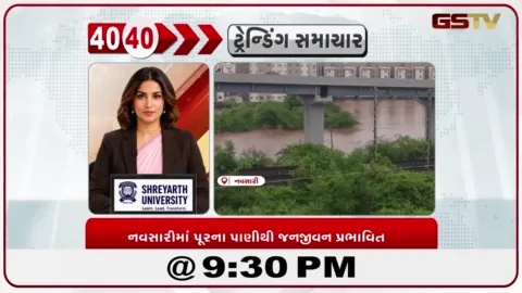 VIDEO: News 40-40/નવસારીમાં પૂરના પાણીથી જનજીવન પ્રભાવિત