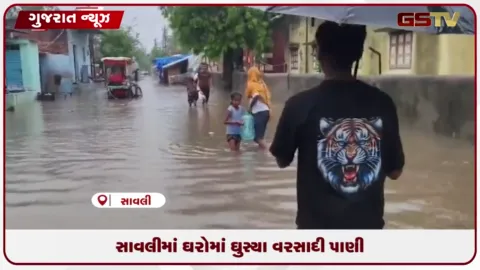 VIDEO: વડોદરાના સાવલીમાં ભારે વરસાદથી પાણી ભરાયા, તંત્રની પ્રી-મોન્સૂન કામગીરી સામે સવાલો