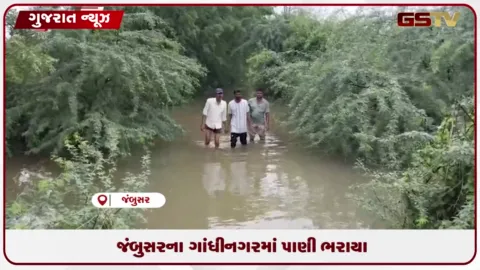 VIDEO: જંબુસરના ગાંધીનગર વિસ્તારમાં પાણી ભરાયા