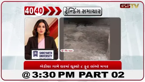 VIDEO: બેડીયા ગામે ઘરમાં ઘુસ્યો 7 ફુટ નો મગર