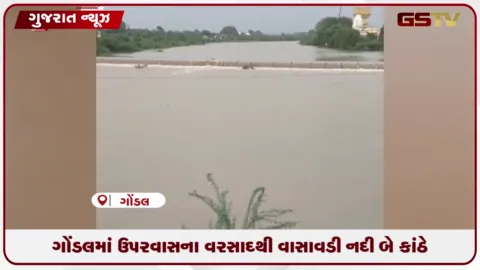 VIDEO: ગોંડલ: ઉપરવાસના વરસાદથી વાસાવડી નદી બે કાંઠે