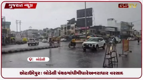 VIDEO: છોટાઉદેપુર: બોડેલી પંથકમાં ધીમીધારે અનરાધાર વરસાદ
