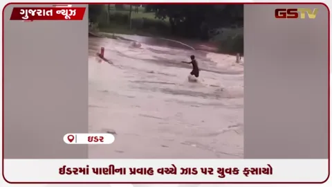 VIDEO: સાબરકાંઠાના ઈડરમાં પાણીના તેજ પ્રવાહ વચ્ચે ઝાડ પર ફસાયેલા યુવકનું સફળ રેસ્ક્યુ