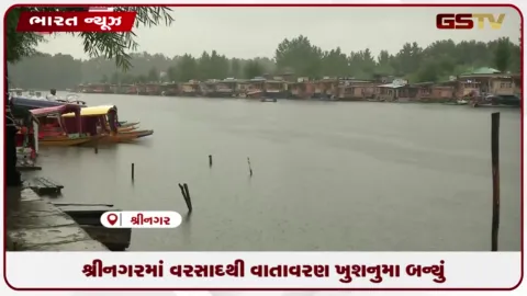 VIDEO: શ્રીનગરમાં વરસાદથી વાતાવરણ ખુશનુમા બન્યું