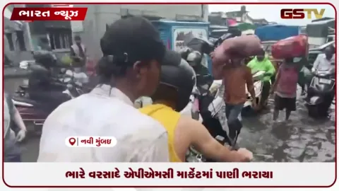 VIDEO: ભારે વરસાદે એપીએમસી માર્કેટમાં પાણી ભરાયા