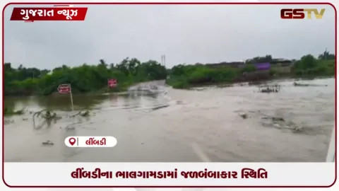 VIDEO: લીંબડીના ભાલગામડામાં જળબંબાકાર સ્થિતિ