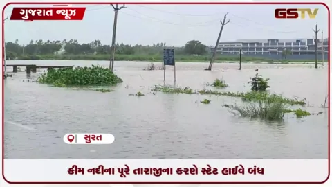 VIDEO: કિમ નદીના પાણી ભરાવાથી સુરતમાં જનજીવન અસ્તવ્યસ્ત, સ્ટેટ હાઈવે-૬૫ પ્રભાવિત