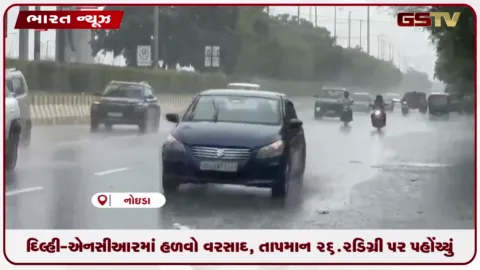 VIDEO: દિલ્હી-એનસીઆરમાં હળવો વરસાદ, તાપમાન 26.2 ડિગ્રી પર પહોંચ્યું
