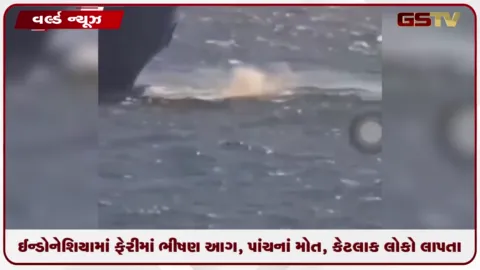 VIDEO: ઇન્ડોનેશિયામાં ફેરીમાં ભીષણ આગ, 5ના મોત, કેટલાક લોકો લાપતા