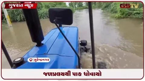 VIDEO: સુરેન્દ્રનગર જિલ્લામાં ભારે વરસાદથી જળપ્રલય: દેદાદરા ગામે ખેડૂતોના પાક ધોવાયા