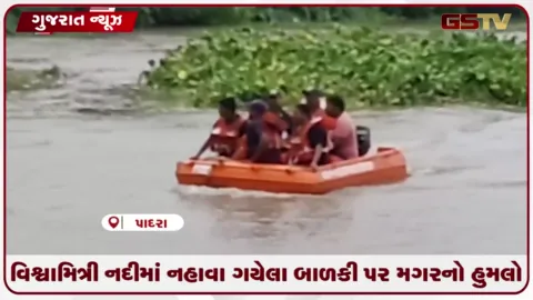 VIDEO: પાદરાના મેઢાદમાં વિશ્વામિત્રી નદીમાં ન્હાવા ગયેલી બાળકી પર મગરનો હુમલો, મોતની શંકા