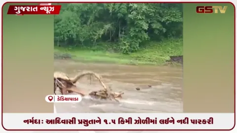 VIDEO: નર્મદા: આદિવાસી પ્રસુતાને દોઢ કિમી ઝોળીમાં લઈને નદી પાર કરી