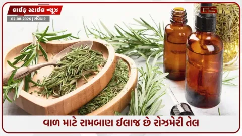 VIDEO: વાળ માટે રામબાણ ઈલાજથી ઓછું નથી રોઝમેરી તેલ, જાણો તેને બનાવવાની અને ઉપયોગ કરવાની રીત