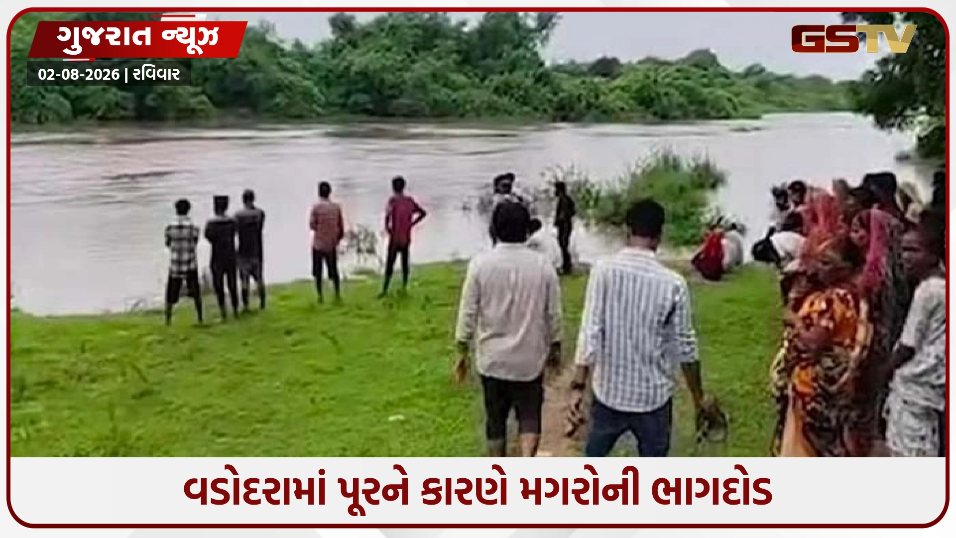 Vadodaraમાં પૂર વચ્ચે મગરોનો ત્રાસ, દાદા સાથે ગયેલી કિશોરીને મગર ખેંચી ગયો