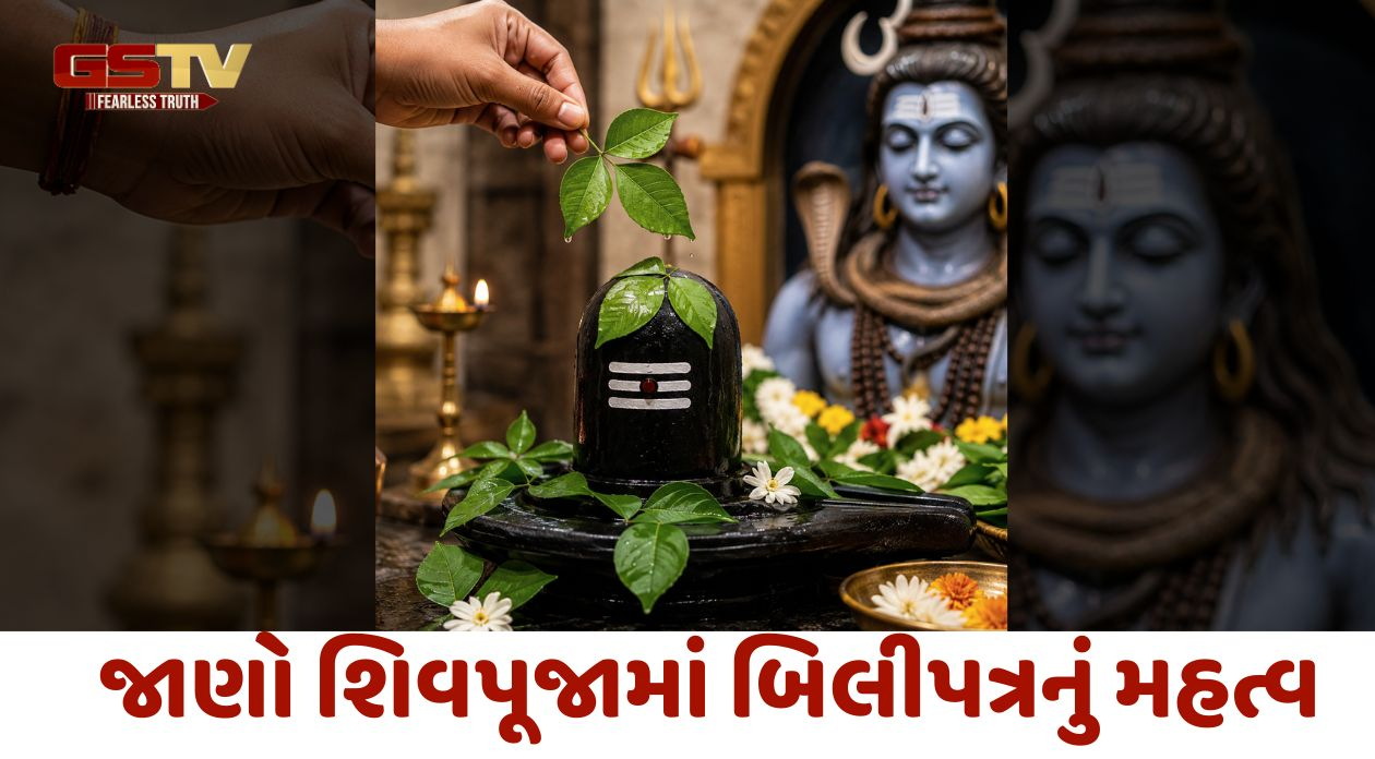 શિવપૂજામાં બિલીપત્રનું મહત્વ: અર્પણ કરતી વખતે કઈ બાબતોનું ધ્યાન રાખવું? જાણો યોગ્ય પદ્ધતિ અને નિયમો