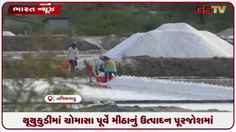 VIDEO: થૂથુકુડીમાં ચોમાસા પૂર્વે મીઠાનું ઉત્પાદન પૂરજોશમાં
