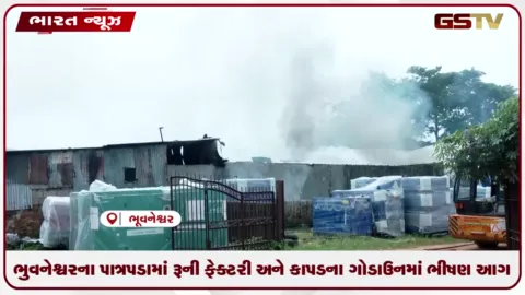 VIDEO: ભુવનેશ્વરના પાત્રપડામાં રૂની ફેક્ટરી અને કાપડના ગોડાઉનમાં ભીષણ આગ