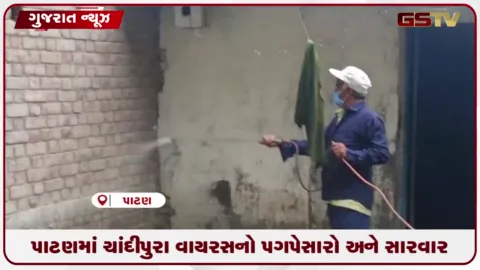 VIDEO: ઉત્તર ગુજરાતના પાટણ જિલ્લામાં ચાંદીપુરા વાયરસનો ફેલાવો વધતા વધુ એક બાળકીનો રિપોર્ટ પોઝિટિવ