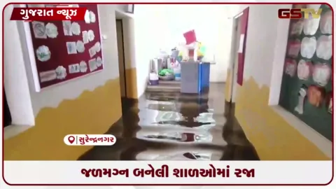 VIDEO: સુરેન્દ્રનગરની કેટલીક શાળાઓમાં પાણી ભરાયા, તાત્કાલિક રજા જાહેર કરાઈ