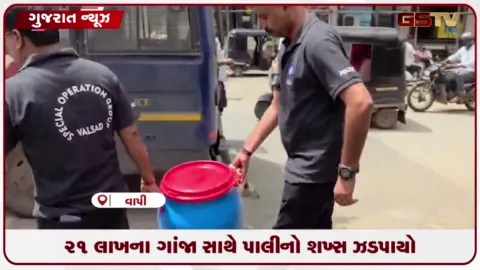 VIDEO: વાપીમાં એસઓજી દ્વારા 21 લાખના ગાંજા સાથે એકની ધરપકડ