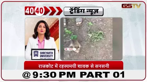 VIDEO: News 40-40/तेंदुए के बच्चे की चर्चा से ग्रामीणों में चिंता।