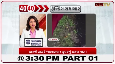 VIDEO: ગોધરાના ઈસરોડીયા ગ્રામજનોની પાણી ભરાવાની સમસ્યા સામે કલેક્ટરને રજૂઆત