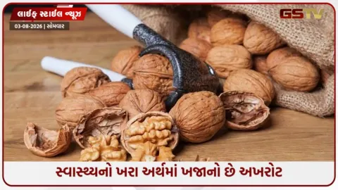 VIDEO: મગજને સુપર શાર્પ અને હૃદયને યુવાન રાખે છે અખરોટ, જાણો તેને ડાયટમાં સામેલ કરવાના ફાયદા