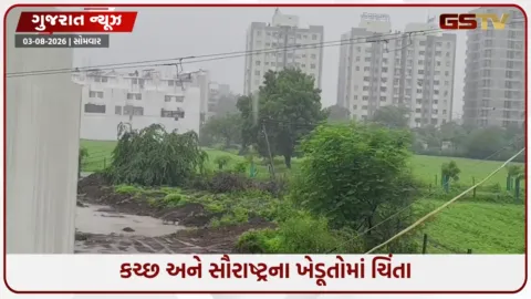 VIDEO: રાજ્યમાં વરસાદની અસમાનતા: 38 તાલુકામાં 100% વરસાદ, 84માં 50% પણ નહિ