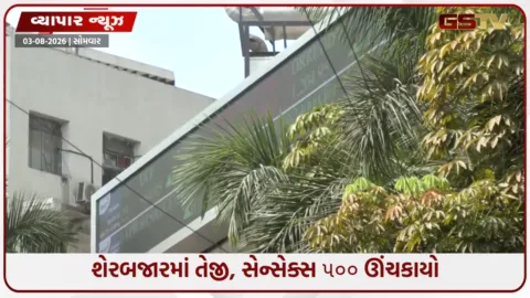 VIDEO: શેરબજારમાં તેજી: સેન્સેક્સ ૫૦૦થી વધુ પોઈન્ટ ઊંચકાયો, નિફ્ટી ૨૪,૫૦૦ને પાર