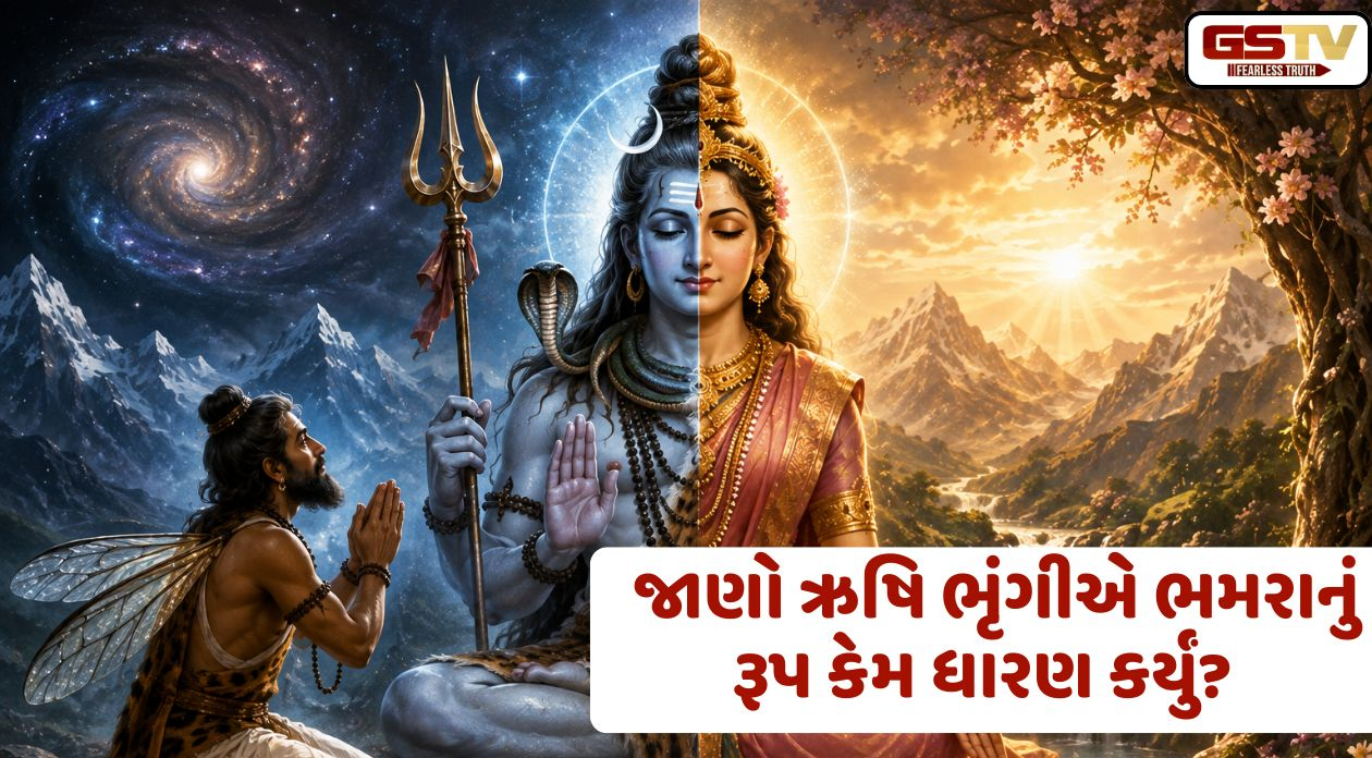 ઋષિ ભૃંગીએ ભમરાનું રૂપ કેમ ધારણ કર્યું? જાણો શિવ-શક્તિના 'અર્ધનારીશ્વર' અવતાર પાછળનું રહસ્ય