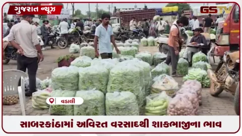 VIDEO: વડાલી માર્કેટમાં આવક ઘટતા કીચન બજેટ ખોરવાયું: ખેડૂતો ચિંતિત