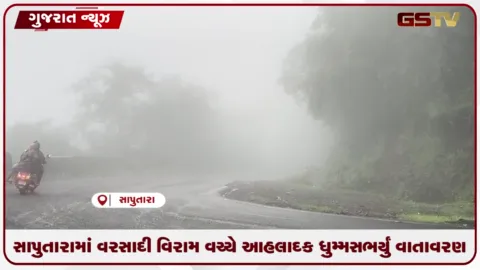 VIDEO: ડાંગના ગીરીમાળા સાપુતારામાં ઝરમર વરસાદ અને ઘન ધુમ્મસ વચ્ચે પ્રવાસીઓ ઉમટ્યા