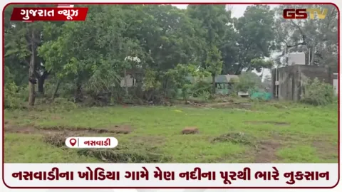 VIDEO: નદીના પૂરમાં ૧૦૦ એકર જમીન સપાટ થતાં કપાસનો પાક દટાયો: ખેડૂતોની સરકાર પાસે સહાયની માંગ