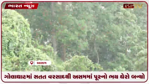 VIDEO: ગોલાઘાટમાં સતત વરસાદથી અસમમાં પૂરનો ભય ઘેરો બન્યો