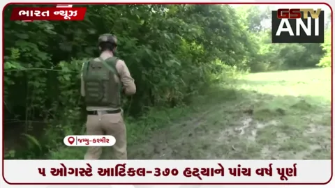VIDEO: આર્ટિકલ-370 હટાવ્યાંને પાંચ વર્ષ પૂર્ણ, જમ્મુ-કાશ્મીરમાં સુરક્ષાનો લોખંડી બંદોબસ્ત