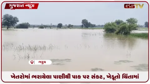 VIDEO: ખેતરોમાં ભરાયેલા પાણીથી પાક પર સંકટ, ખેડૂતો ચિંતામાં