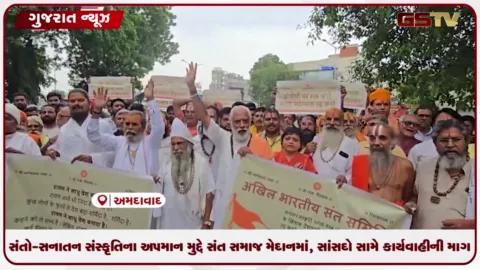 VIDEO: સંતો અને સનાતન સંસ્કૃતિના અપમાન મુદ્દે સંત સમાજ મેદાને, સાંસદો સામે કાર્યવાહીની માંગ