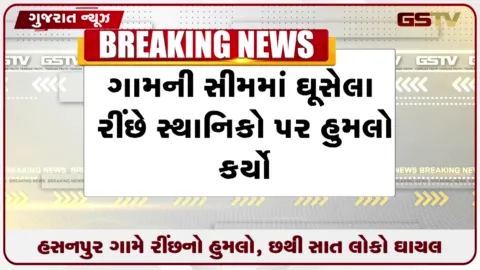 VIDEO: પાલનપુરના હસનપુર ગામે રીંછના હુમલાથી ગ્રામજનોમાં ભારે ભયનો માહોલ