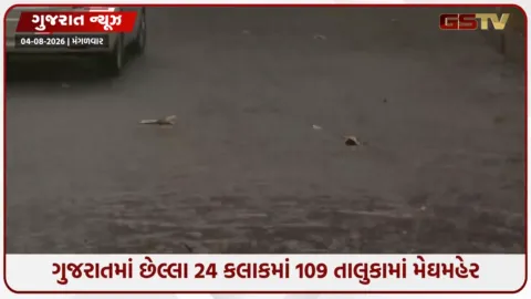 VIDEO: Gujaratમાં છેલ્લા 24 કલાકમાં 109 તાલુકામાં મેઘમહેર, વલસાડના કપરાડામાં સૌથી વધુ અઢી ઇંચ વરસાદ