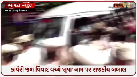 VIDEO: અભિનેત્રી તૃષા પર દ્વિઅર્થી ટિપ્પણી કરવા બદલ ઉદયનિધિ સ્ટાલિનની અટકાયત, DMK પર ટીવીકે-ભાજપ લાલઘૂમ