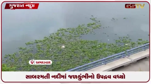 VIDEO: સાબરમતી રિવરફ્રન્ટના પાણીમાં ફરી જળકુંભીનો ઉપદ્રવ વધ્યો