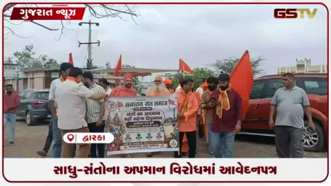 VIDEO: દેવભૂમિ દ્વારકા જિલ્લામાં સનાતન સંત સમાજ દ્વારા સંસદમાં સંતોના અપમાનના વિરોધમાં કલેક્ટરને આવેદન