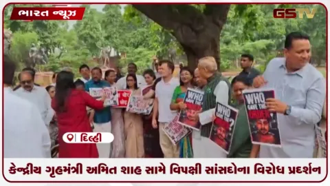 VIDEO: કેન્દ્રીય ગૃહમંત્રી અમિત શાહ સામે વિપક્ષી સાંસદોના વિરોધ પ્રદર્શન