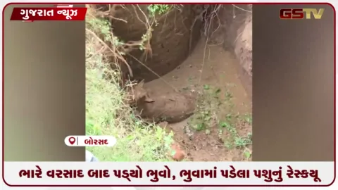 VIDEO: બોરસદ તાલુકાના દિલ્હી ચકલા ચોકડી પાસે ની મહાકાય ભુવો