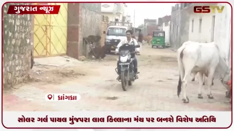 VIDEO: સોલર ગર્લ પાયલ મુંજપરા લાલ કિલ્લાના મંચ પર બનશે વિશેષ અતિથિ