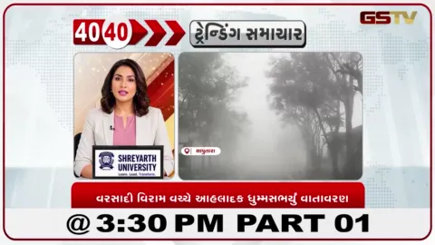 VIDEO: વડોદરાના શ્રીજી માર્કેટમાં વેપારી પર જીવલેણ હુમલો, સીસીટીવીમાં ઘટના કેદ